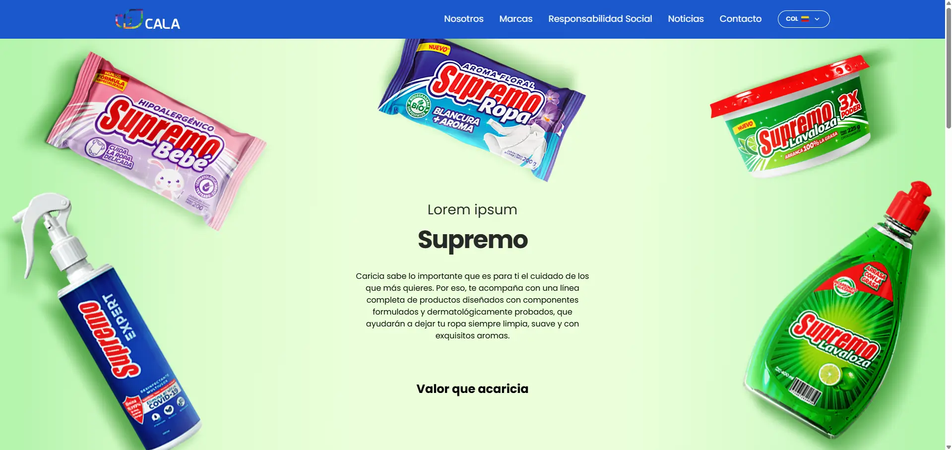 Imagen 4 del proyecto Grupo Cala