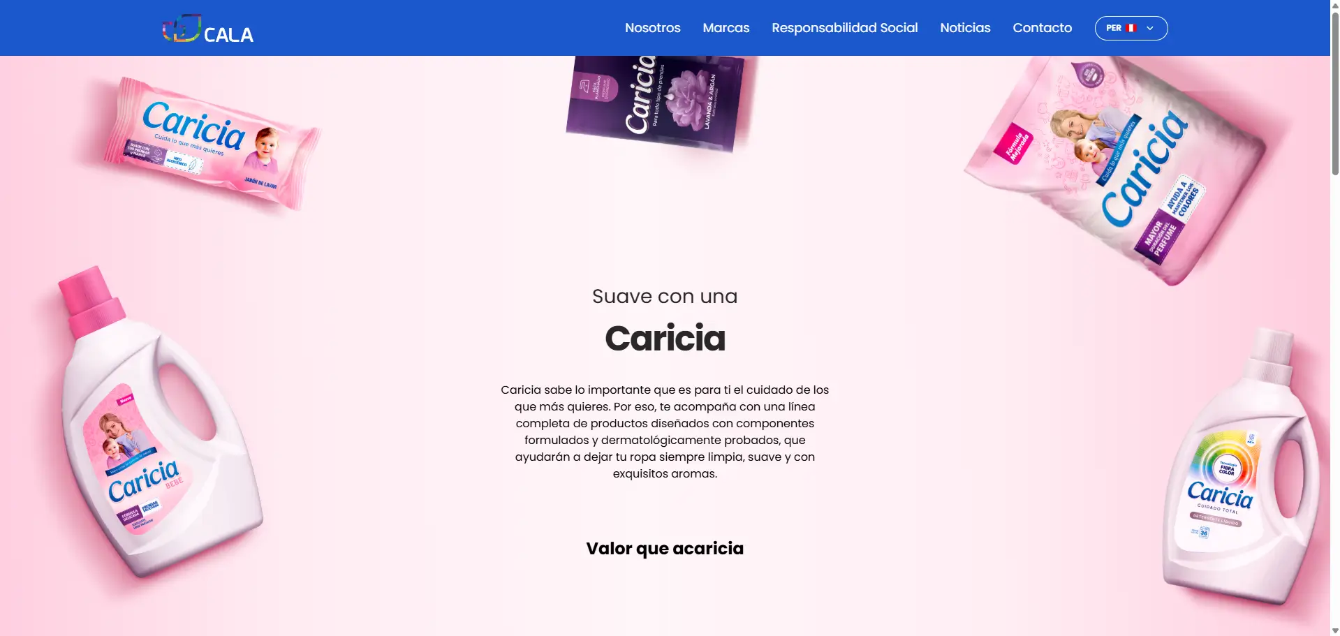 Imagen 2 del proyecto Grupo Cala